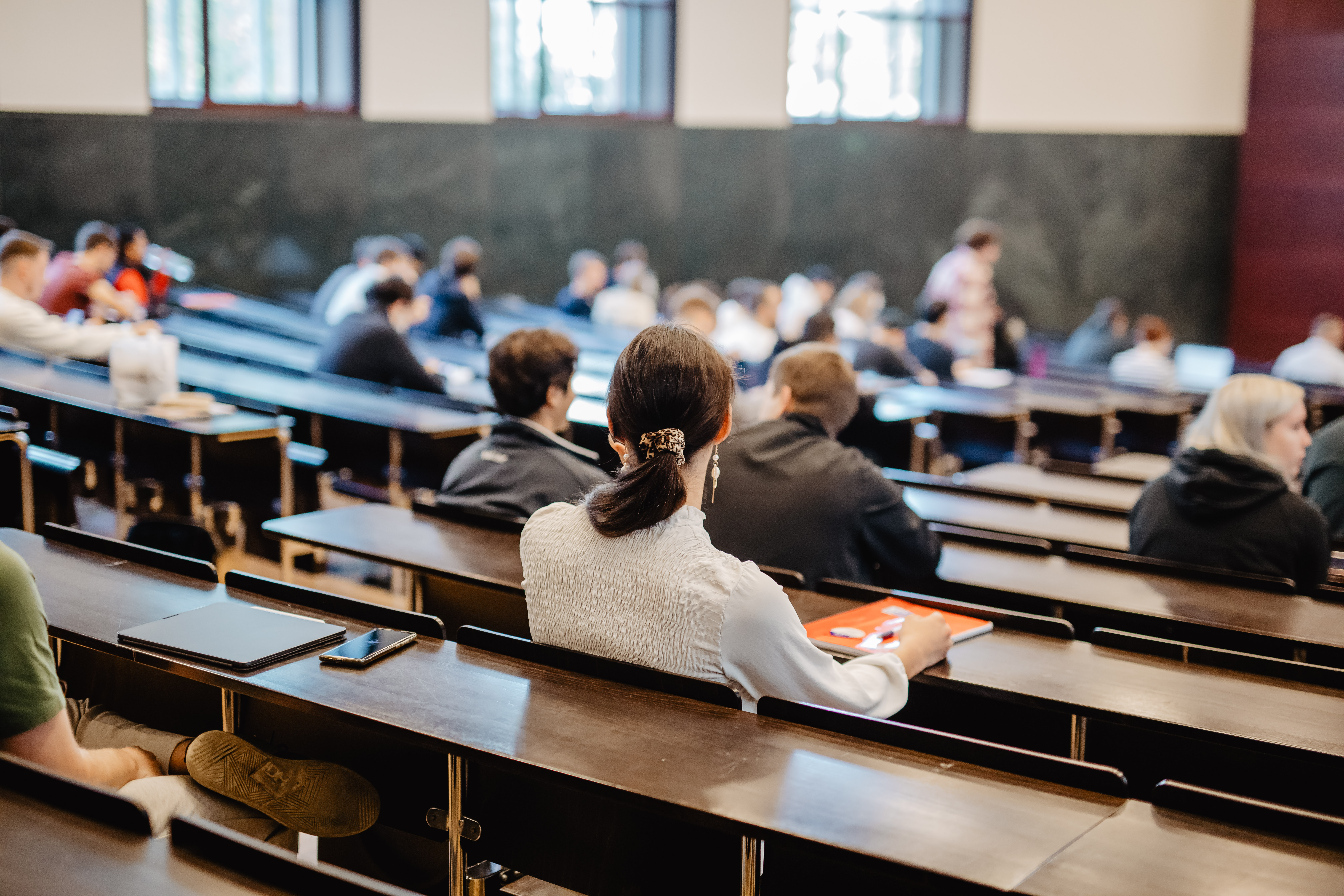 Lehrveranstaltungen im Sommersemester