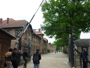 auschwitz8