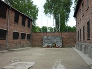 auschwitz11